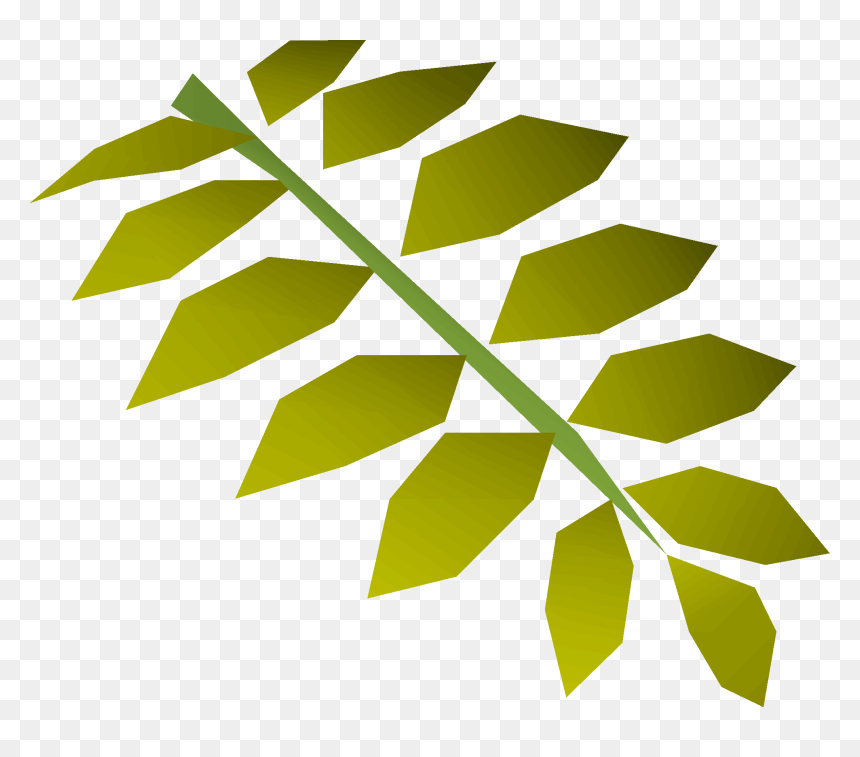 Old School Runescape Wiki - Tree, HD Png Download - banana leaves png