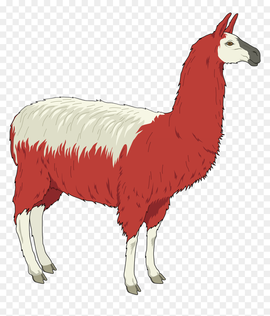 Llama Clip Art, HD Png Download - shaggy png