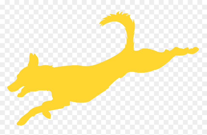 Illustration, HD Png Download - jumping cat png