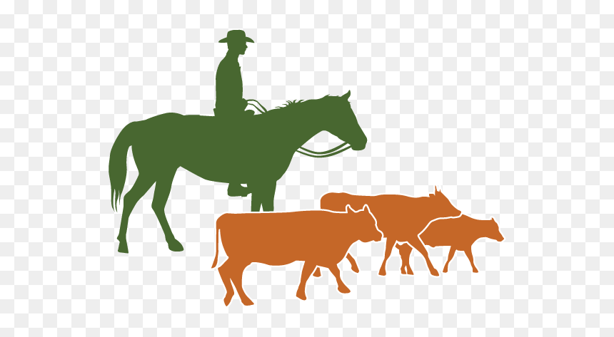 Cattle Native Americans In The United States Silhouette - Cattle Raising Png, Transparent Png - united states silhouette png