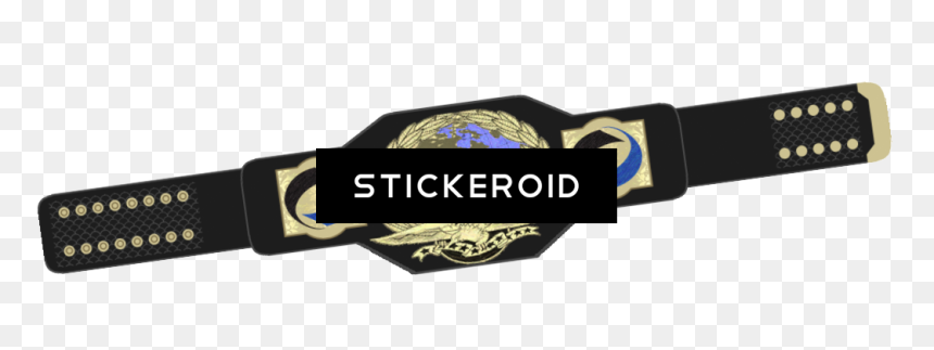 Wrestling Belt Sports - Real Wrestling Belt Wwe World Heavyweight 2015, HD Png Download - championship belt png