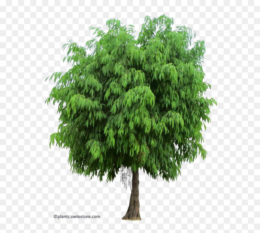 Portable Network Graphics, HD Png Download - banana leaves png