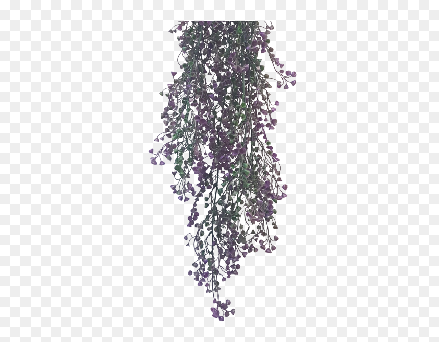 Portable Network Graphics, HD Png Download - wisteria png