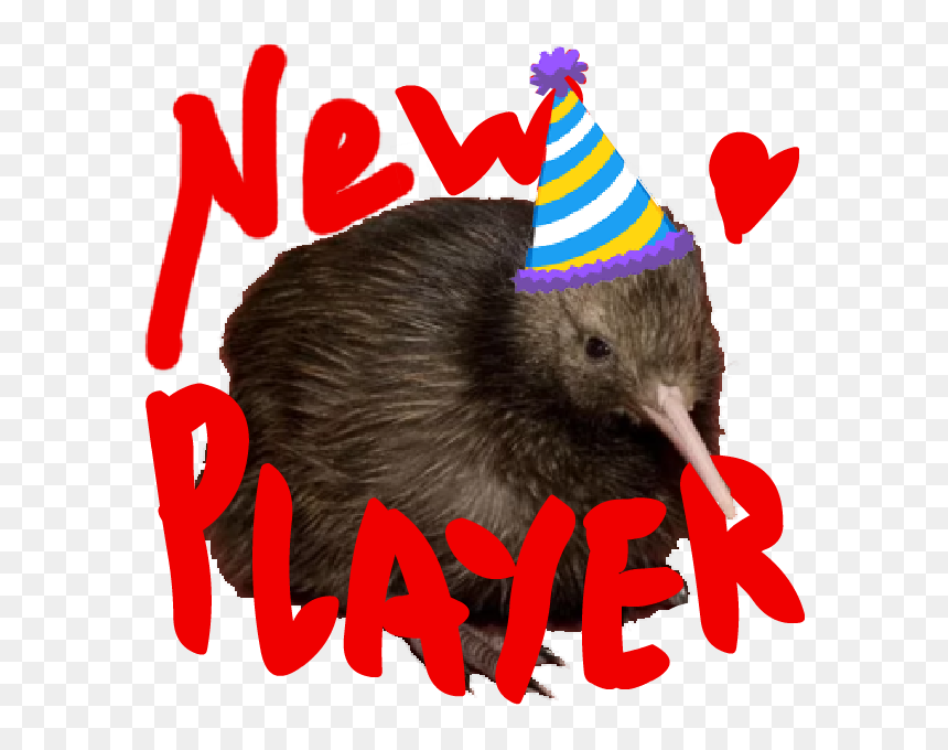 Https - //i - Imgur - Com/jrswos4 - Birthday Party - Kiwi With Birthday Hat, HD Png Download - birthday party png