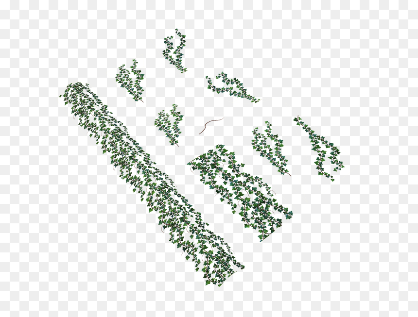 Ivy Texture In Marmorset - Tree, HD Png Download - tree texture png
