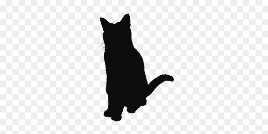 Cat Jumps, HD Png Download - jumping cat png