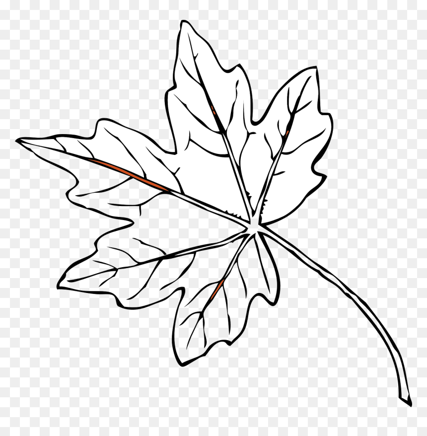 Fall Leaves Clip Art, HD Png Download - banana leaves png