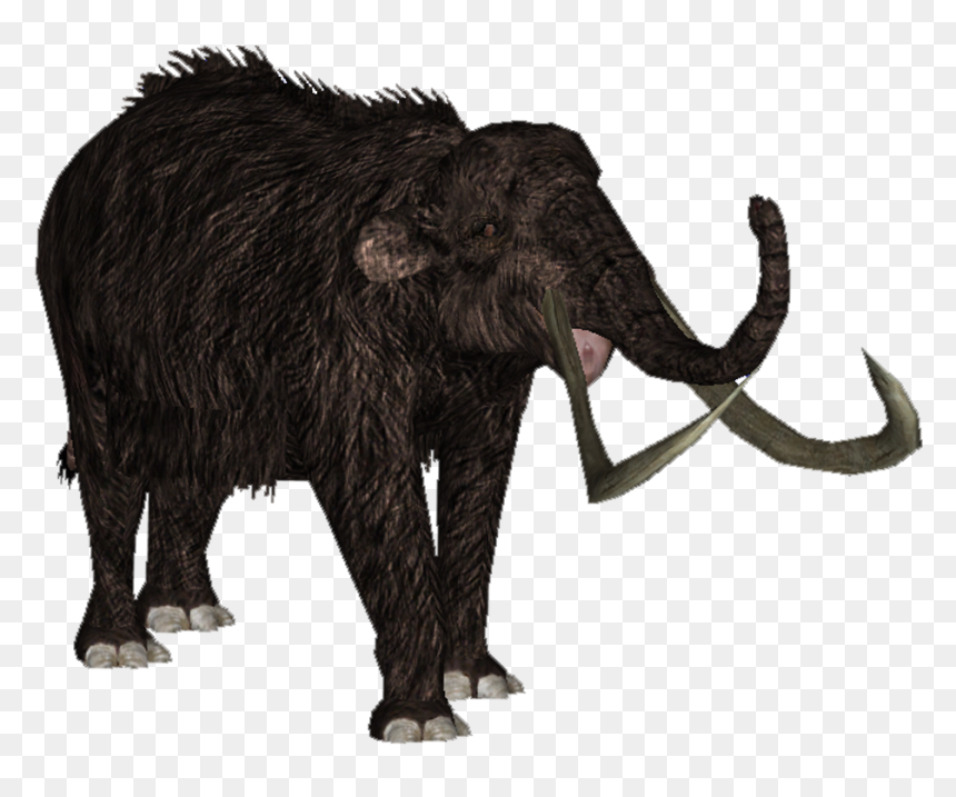 Zt2 Download Library Wiki Mammoth , Png Download - Mammuthus Primigenius, Transparent Png - mammoth png