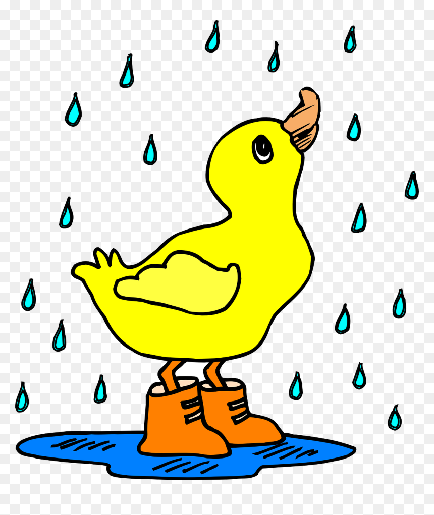 Duck In The Rain Clipart, HD Png Download - water puddle png