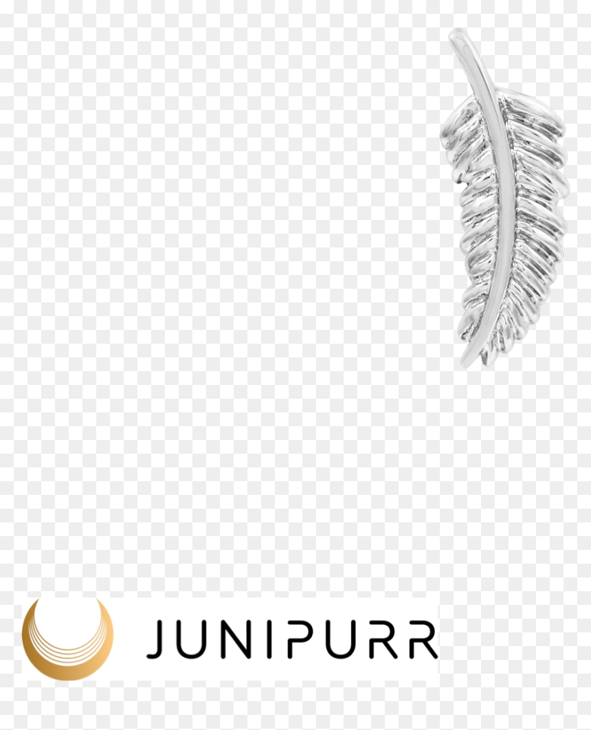 14ct White Gold Feather Quill - Body Jewelry, HD Png Download - gold feather png