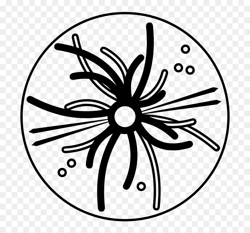 Higgs Boson Surrounded By Charged Particles, A Few - Circle, HD Png Download - white particles png