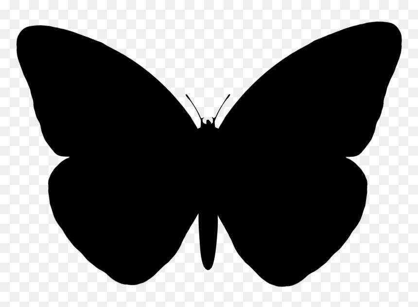 Butterfly Vector Graphics Portable Network Graphics - Silhouette Butterfly Vector Png, Transparent Png - butterfly vector png