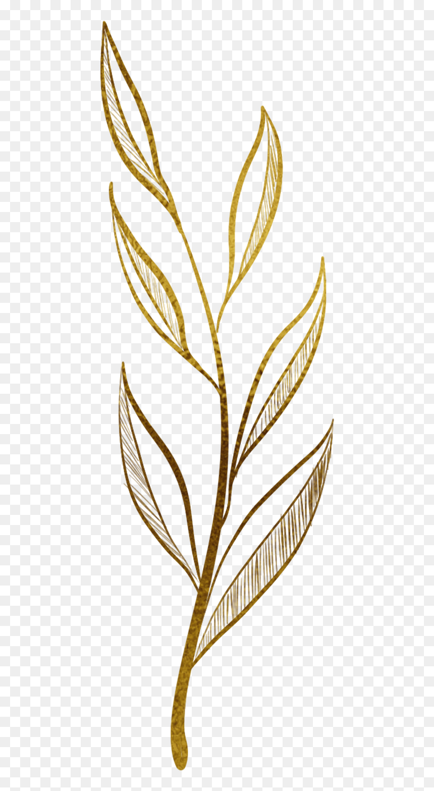 Leaves - Illustration, HD Png Download - gold leaf png