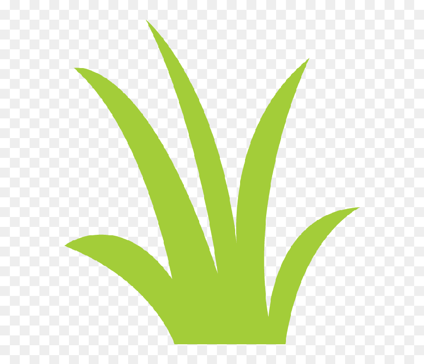 Say Hello File Share, Cutting Files, Tags, Clip Art, - Jardim Minus Png, Transparent Png - grama png