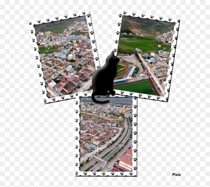 Skateboarding, HD Png Download - jumping cat png