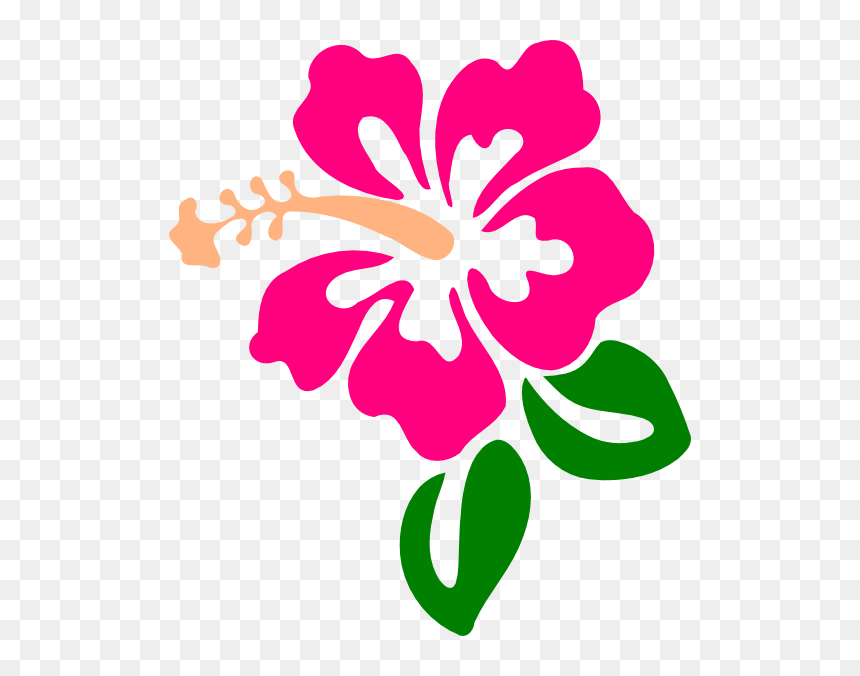 Petal Drawing Hibiscus - Hibiscus Clipart, HD Png Download - hi png
