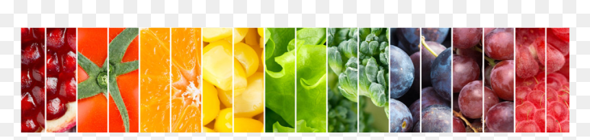 Motif, HD Png Download - new arrival png