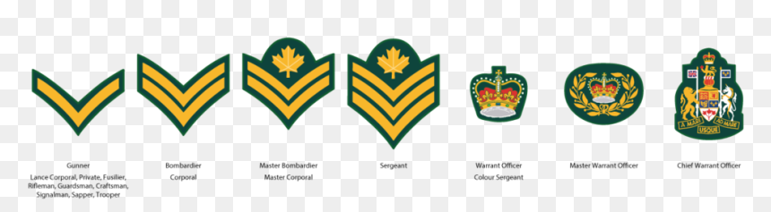 Cadet Ncm Ranks, HD Png Download - army star png
