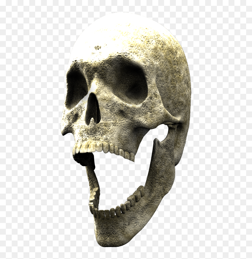 Here Is The 3d Skull To Finish Your Composite - Skull, HD Png Download - 3d skull png