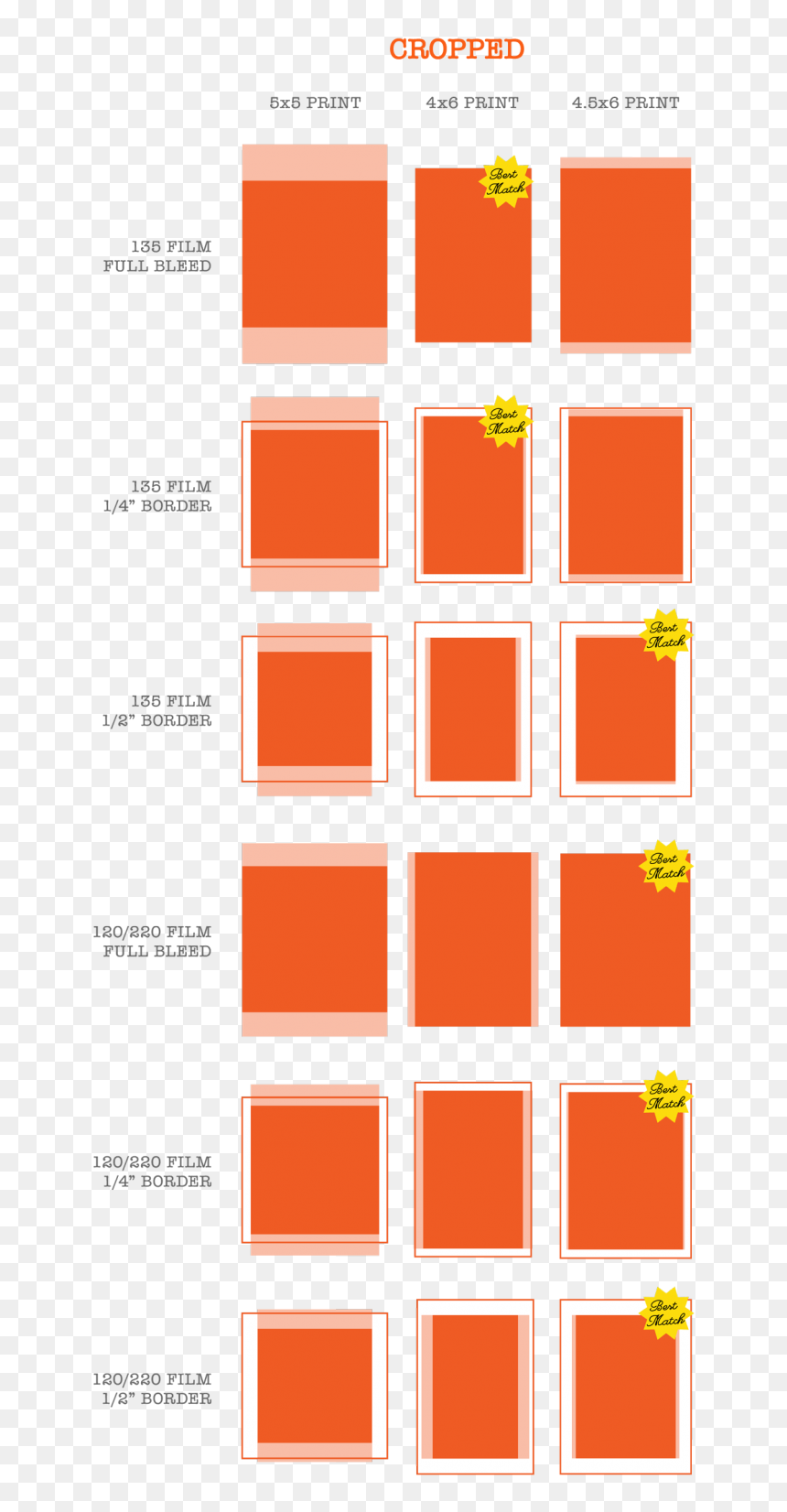 Example Of Cropped Images In A Proof Print - Size Chart Of Photo Prints, HD Png Download - film frame png