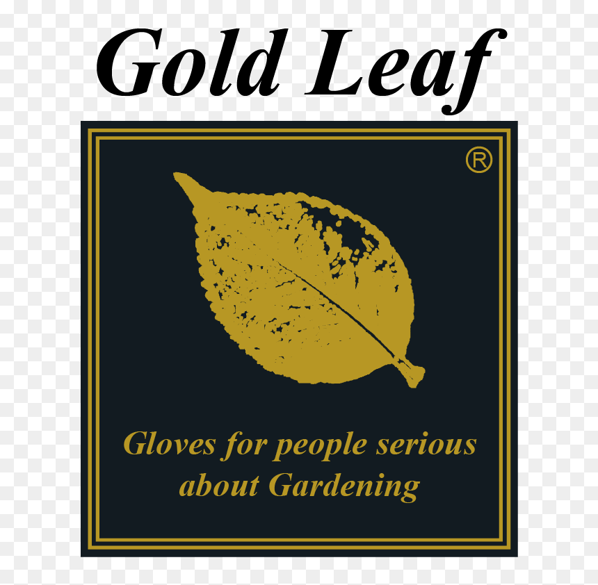 Knight Piesold, HD Png Download - gold leaf png