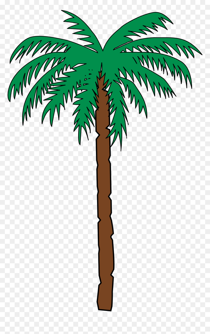 Cartoon Png Palm Tree, Transparent Png - palm tree clip art png