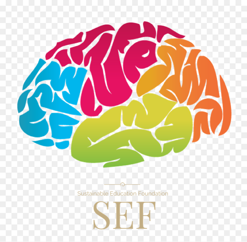 Brain Vector Png - Brain Clipart, Transparent Png - brain vector png