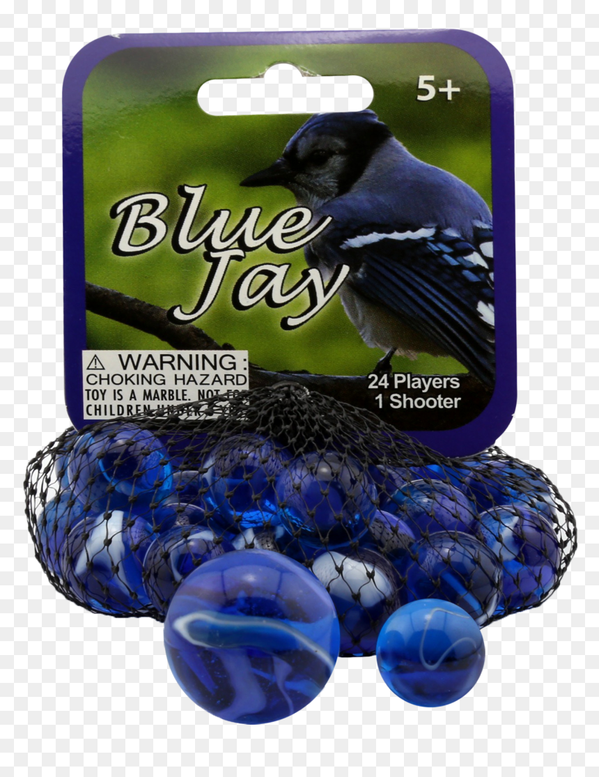 Blue Jay , Png Download - European Swallow, Transparent Png - blue jay png