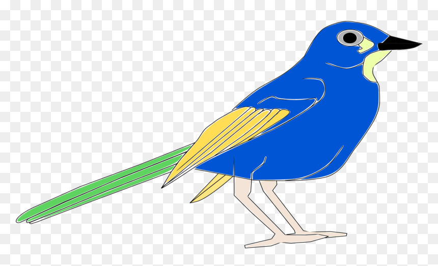 Bird Blue Jay Download - Pajaro Clipart, HD Png Download - blue jay png