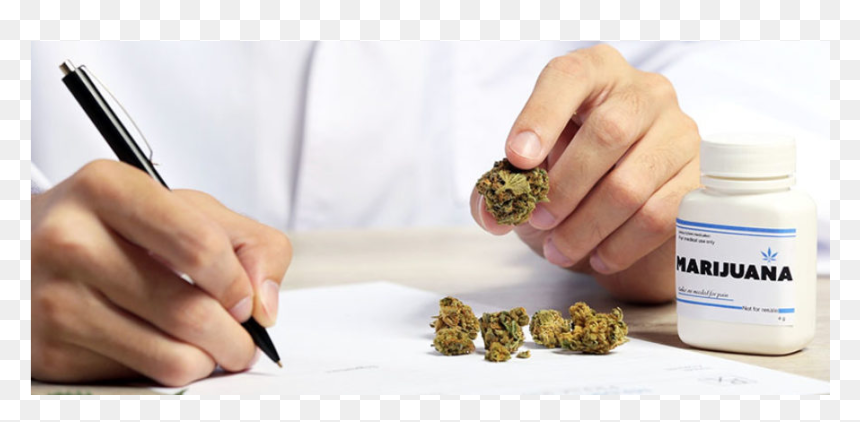 Cannabis In Farmacia, HD Png Download - marihuana png