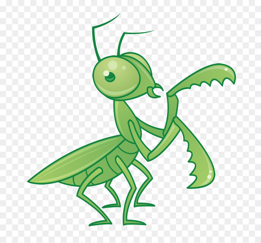 Mantis Png Free Download - Cute Praying Mantis Drawing, Transparent Png - mantis png