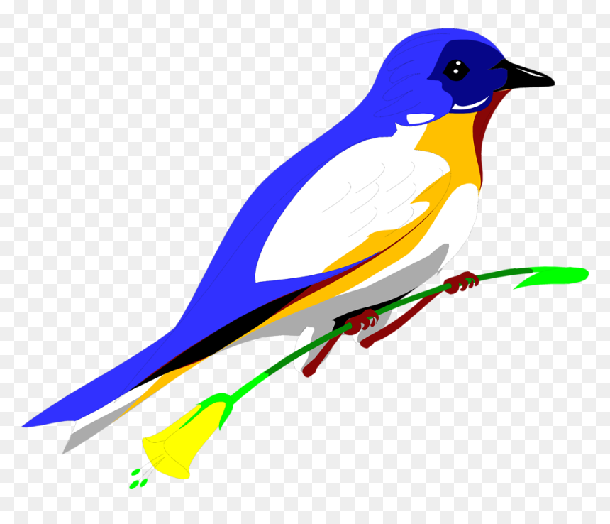 Flying Blue Jay Png Art - Parrot Transparent Background Free Clipart, Png Download - blue jay png
