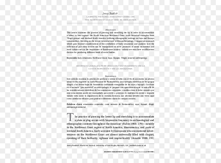 Abstract Of Cocoa Processing, HD Png Download - ornamentos png