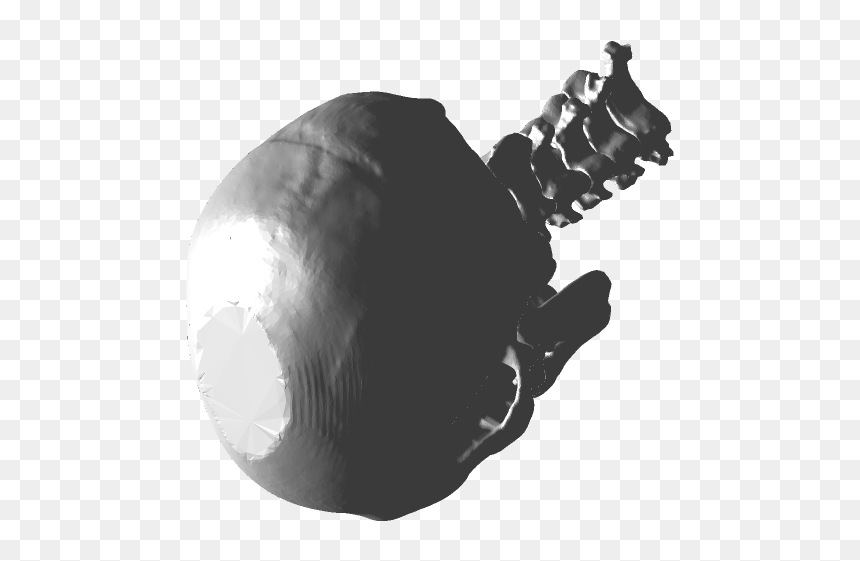 Monochrome, HD Png Download - 3d skull png