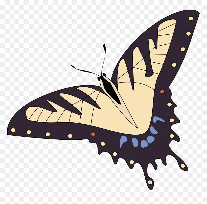 Butterfly Insect Animal Free Photo - フリー 画像 昆虫 イラスト, HD Png Download - butterfly vector png