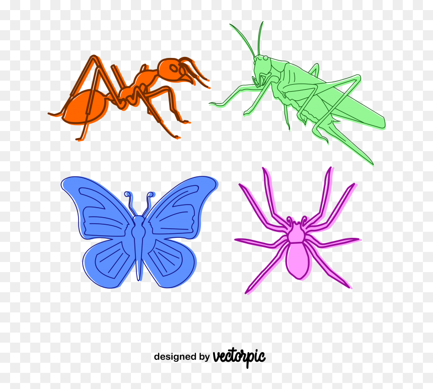 Lycaenid, HD Png Download - butterfly vector png