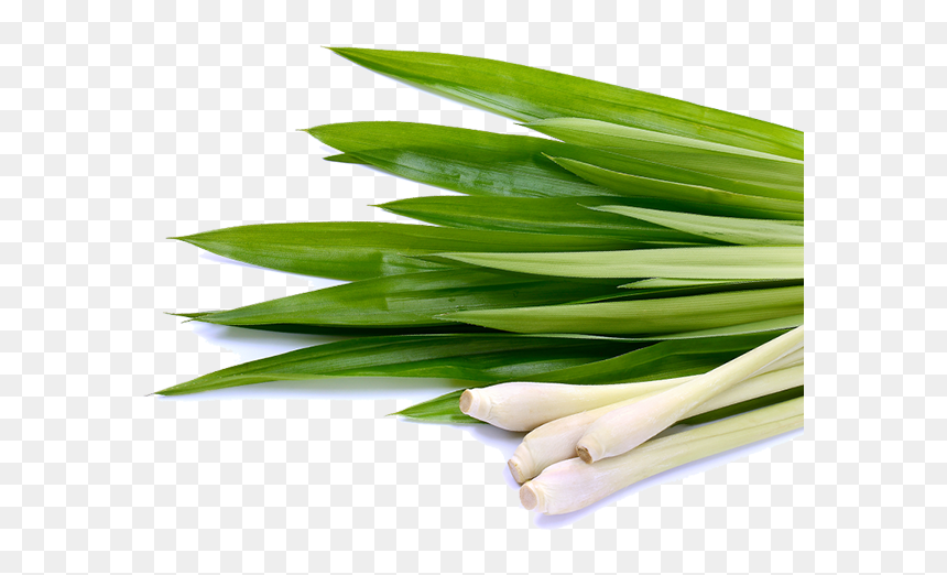 Thumb Image - Lemongrass Png, Transparent Png - lemongrass png