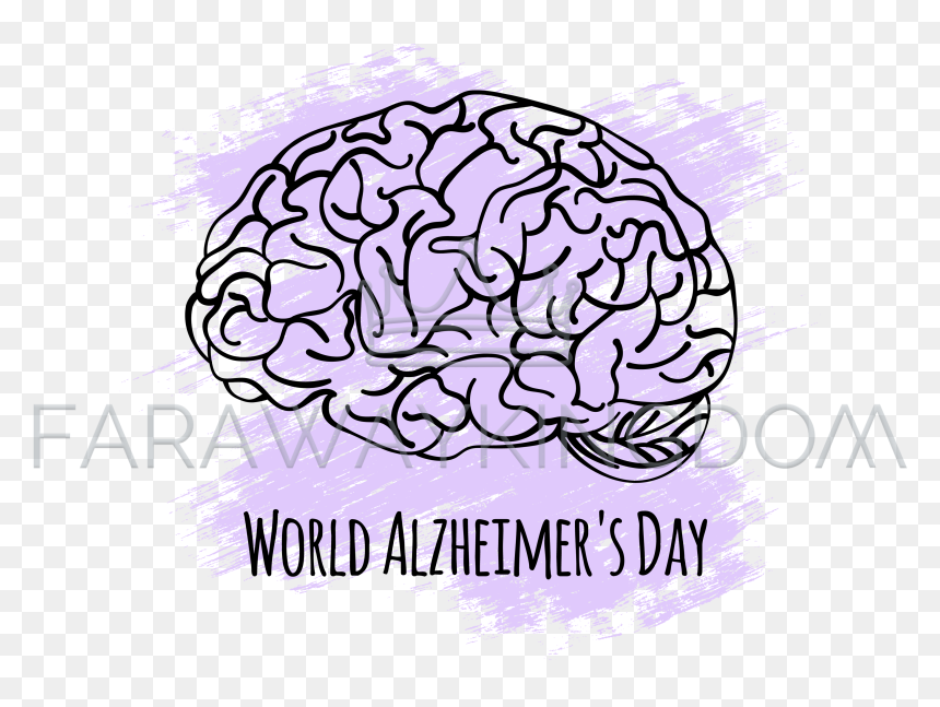Brain Structure Png, Transparent Png - brain vector png