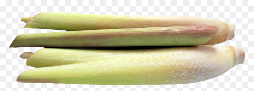 Lemongrass - Cymbopogon Png, Transparent Png - lemongrass png