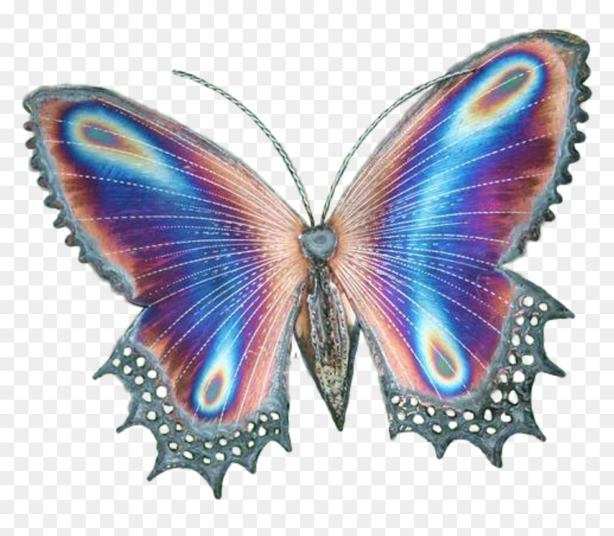 Transparent Butterfly Butterflies Butterflywings Magic - Real Golden Cocoon Butterfly, HD Png Download - real butterfly png