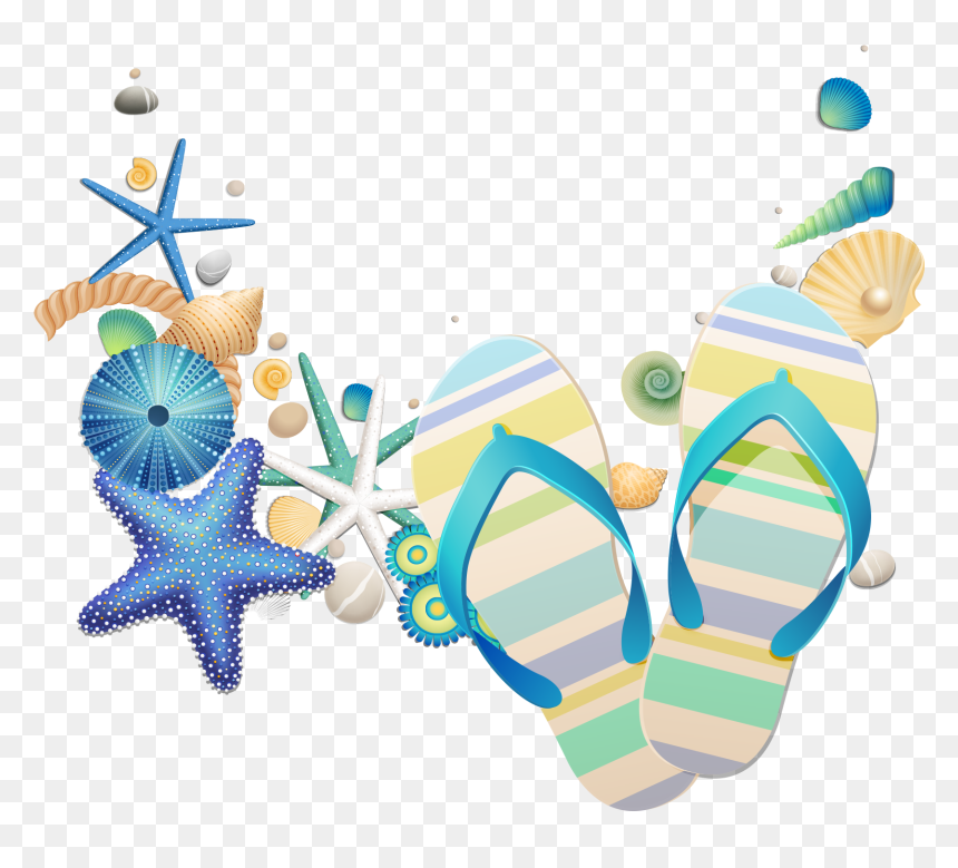 Морской Клипарт На Прозрачном Фоне, HD Png Download - sea shells png