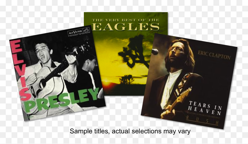 Platinum Vinyl Record Subscription - Flyer, HD Png Download - platinum record png
