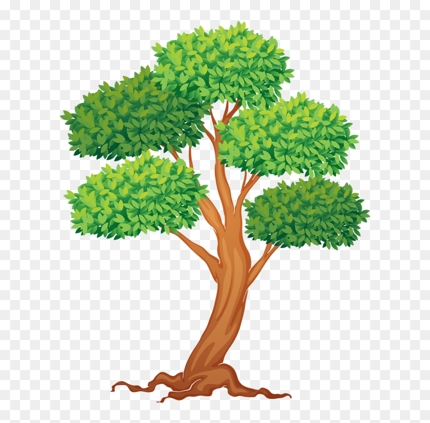 Tree * Tree Drawings, Tree Clipart, Tree Illustration, - Trees Cliparts, HD Png Download - tree illustration png