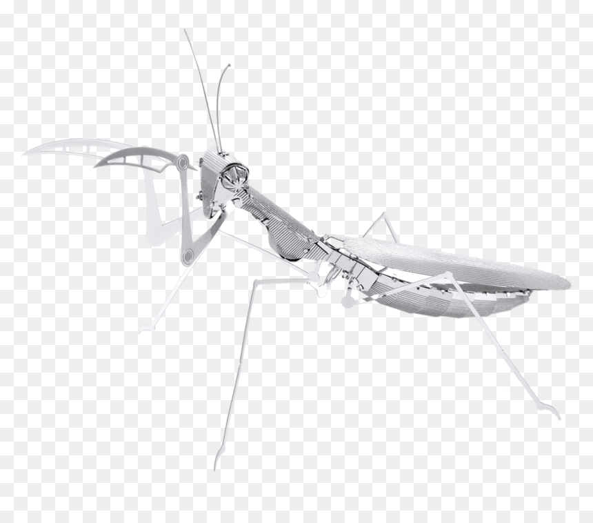 Metal Erath Bugs - Metal Earth Praying Mantis, HD Png Download - mantis png