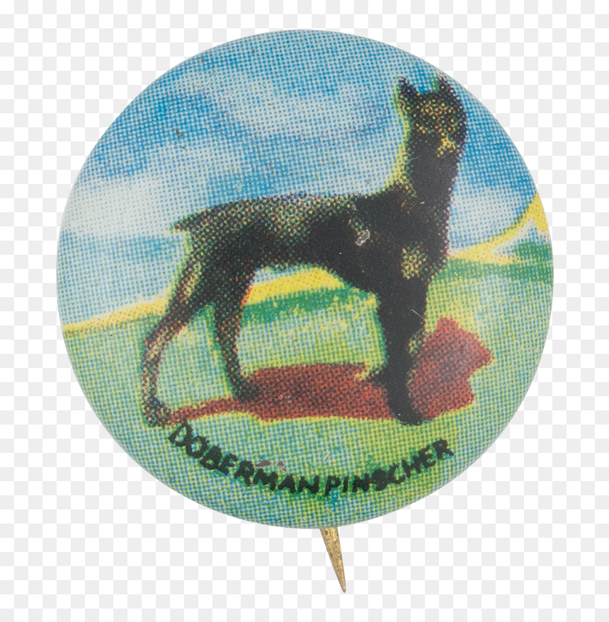 Dobermann , Png Download - Dobermann, Transparent Png - doberman png