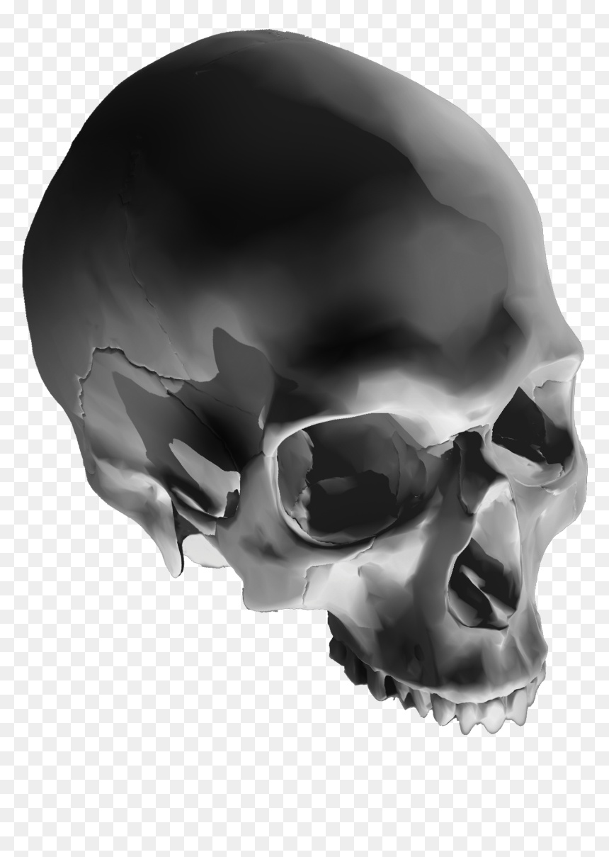 Skull, HD Png Download - 3d skull png