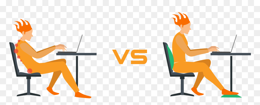 A Lumbar Cushion Supports The Normal Curve Of Your - Illustration, HD Png Download - bell curve png