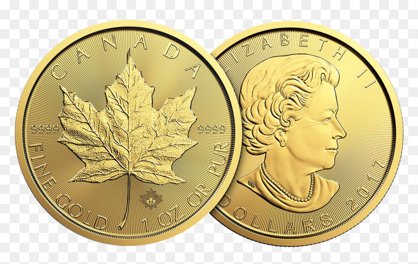 Transparent Gold Leaves Png - 50 Dollar Gold Coin Canada, Png Download - gold leaves png