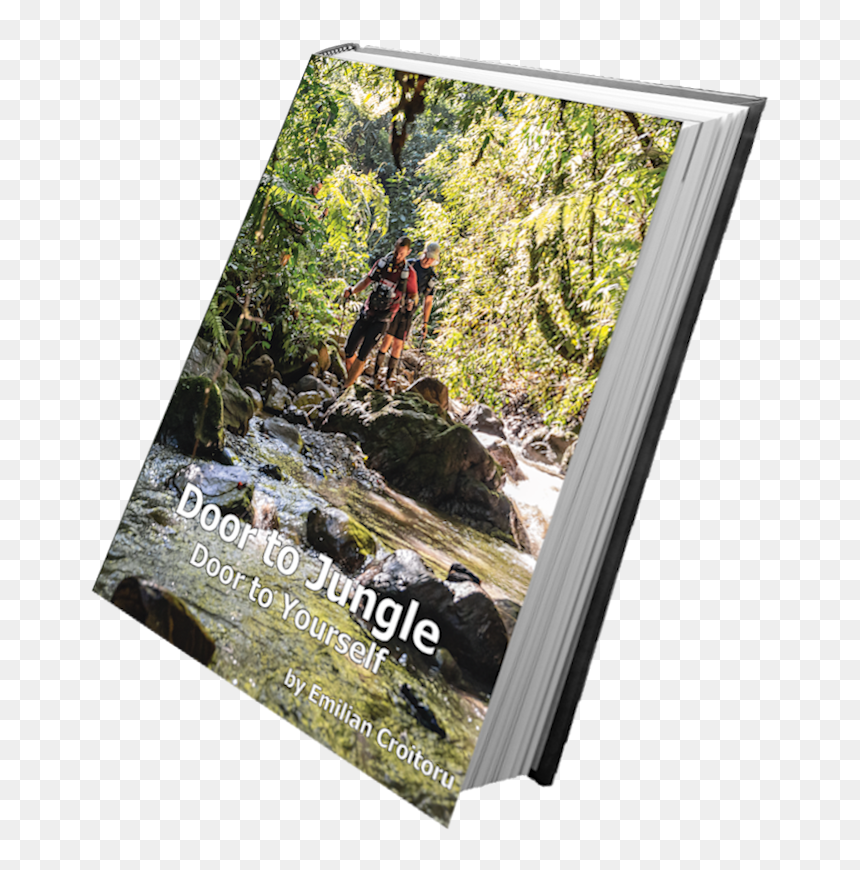 Cover3 - Tree, HD Png Download - jungle plant png