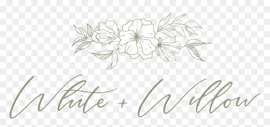 Transparent Black Flower Crown Png - Chrysanths, Png Download - white flower crown png